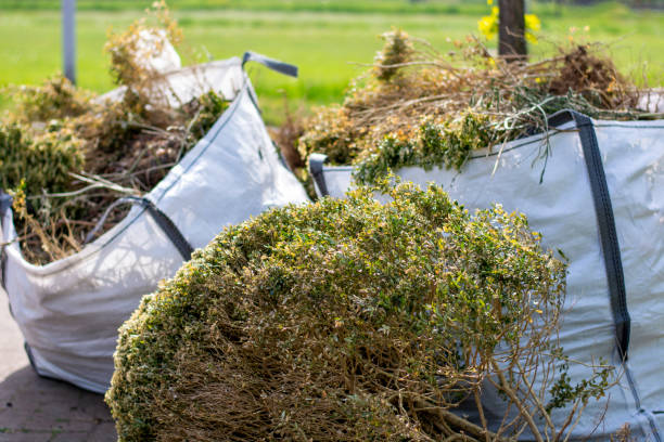 Best Household Junk Removal  in Mayfield, PA